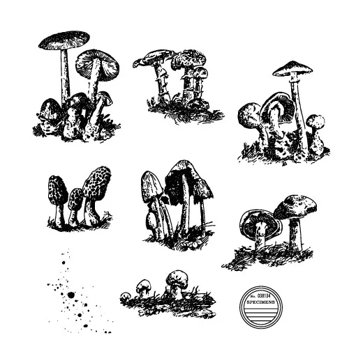 

Mushroom Transparent Clear Stamps for DIY Scrapbooking/Card Making/Kids Christmas Fun Decoration Supplies