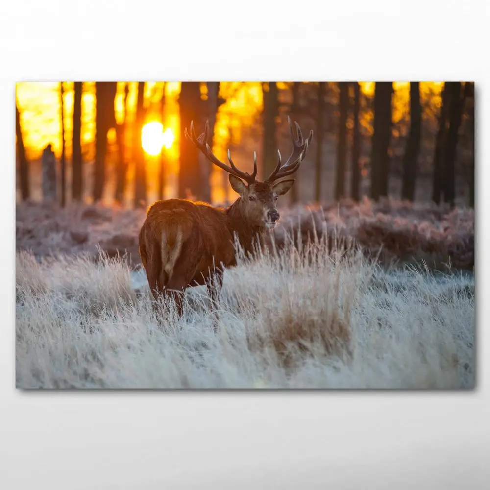 

Decorative paintings Nature Animal The Deer Landscape Sunset Wall Art Posters and Prints Canvas Art For Living Room Decor