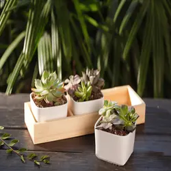 3 сетки деревянный горшок для садового растения декоративные винтажные суккулентные деревянные ящики прямоугольный стол цветок садовый