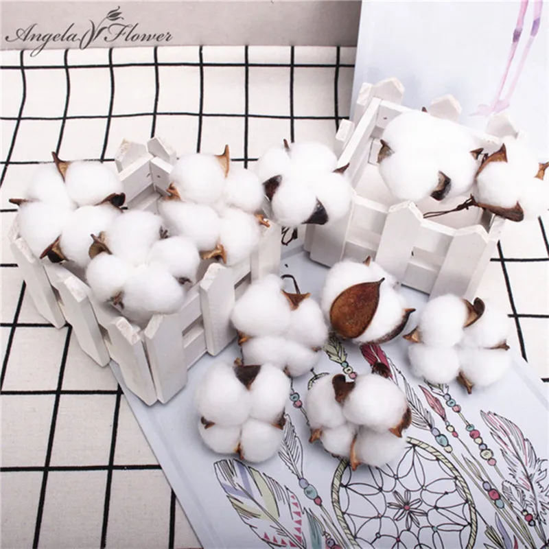 

Cotton head artificial flower natural Dried Cotton home Christmas decor DIY garland wreath flower wall material fleur bloemen