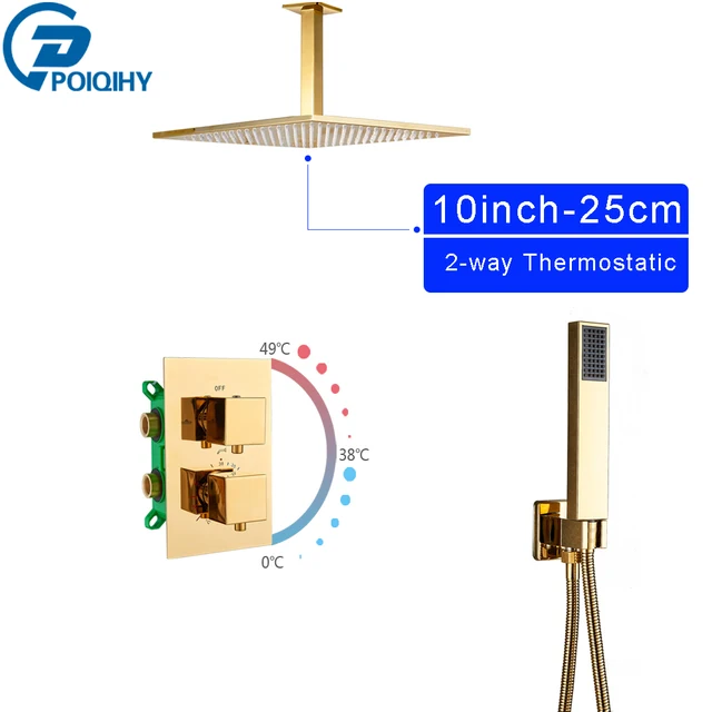 Ceiling 2-Way 10inch