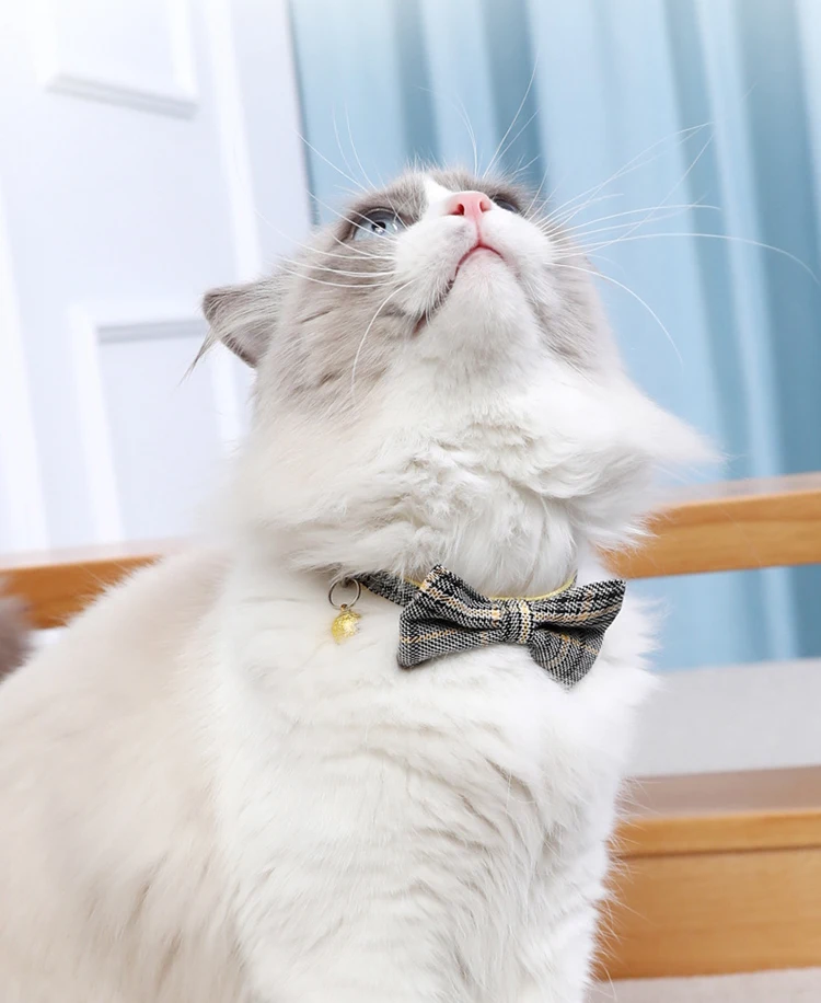 3 - 23681351920_820581130