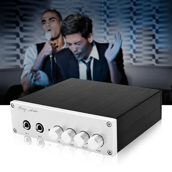 

AIYIMA 100W TPA3116 Microphone Sound Amplifier HIFI Audio Amplifiers ECHO Control PT2399 KTV Karaoke Amp Home Theater System