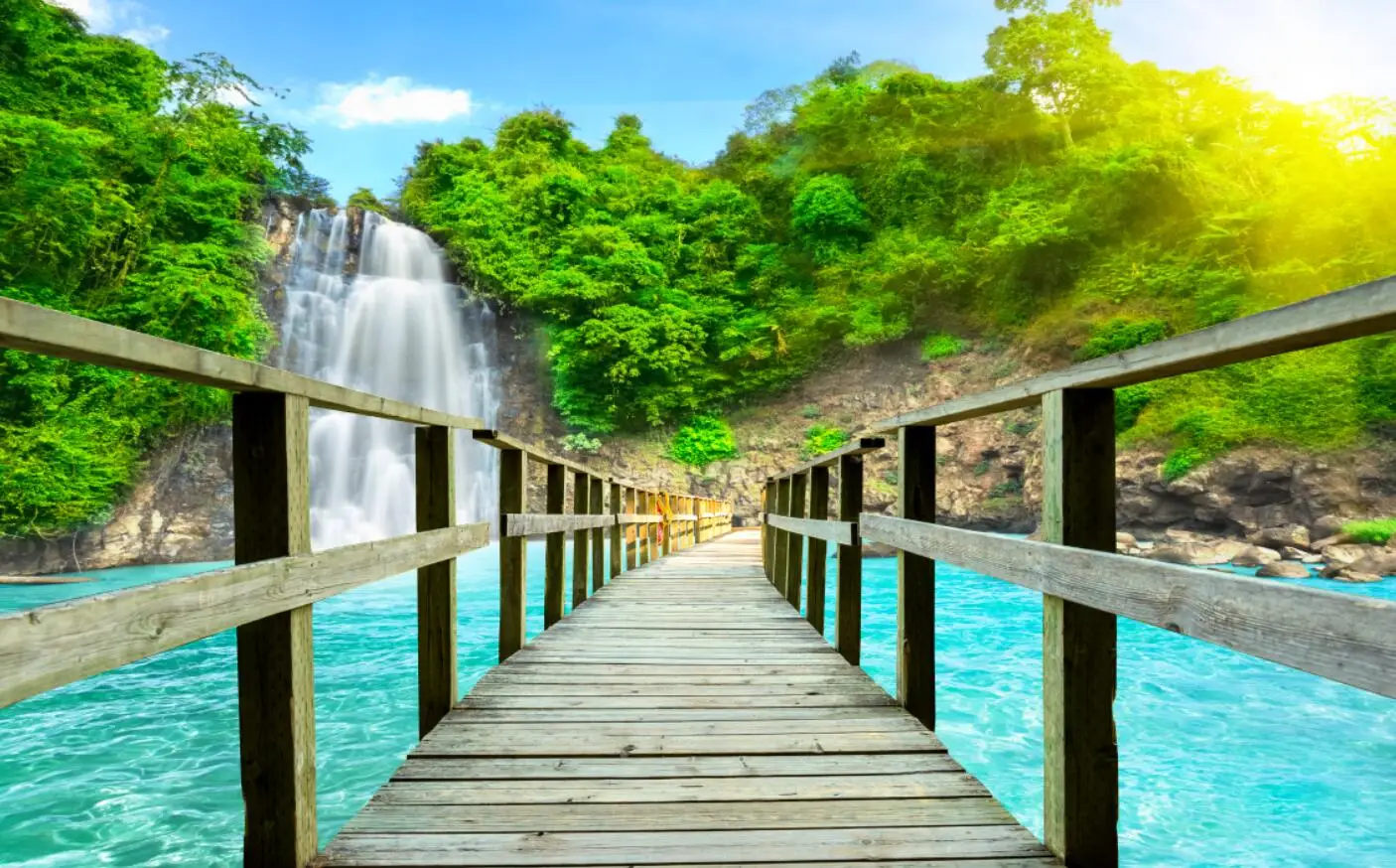 paisagem natural, floresta, pintura a água fluindo,