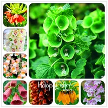 Натуральных материалов! 100 штук в партии фритиллария foxglove Digitalis горшечные бонсай садовые растения DIY домашний сад