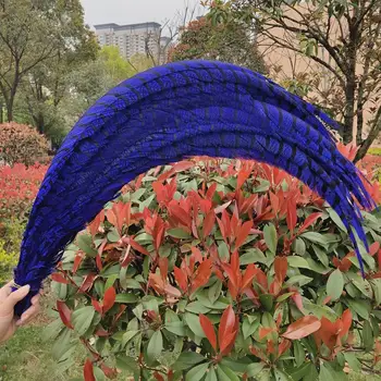 

Wholesale 5pcs Blue Lady Amherst Pheasant Feathers 32-36inch/80-90cm DIY Jewelry Craft Making Wedding Decoration
