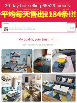 

INS Nordic Carpet Mat Living Room Table Carpet Modern Simple Bedroom Room Full-Piece Bedside Blanket Large Area Household