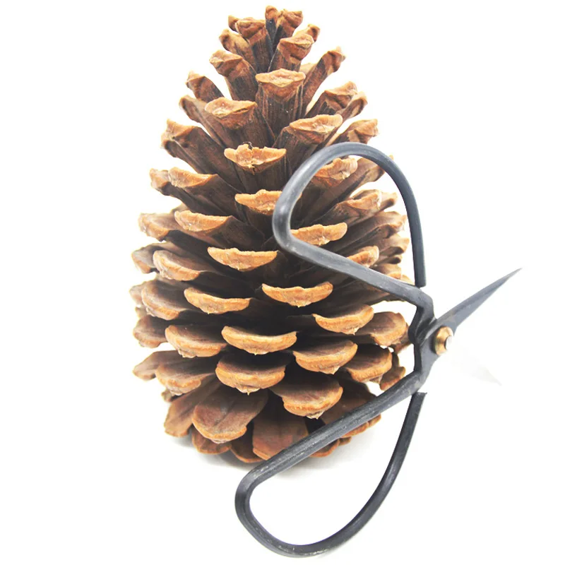 High Quality Durable 50pcs Lot Forged Carbon Steel Bonsai Scissors 121mm Copper Rivet Mini Household Antique Scissors 4