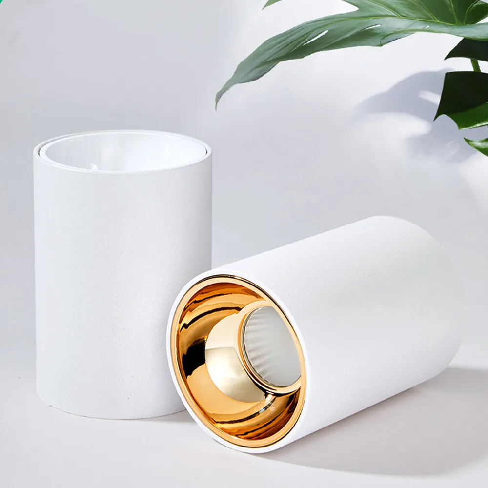 led downlights  (15)