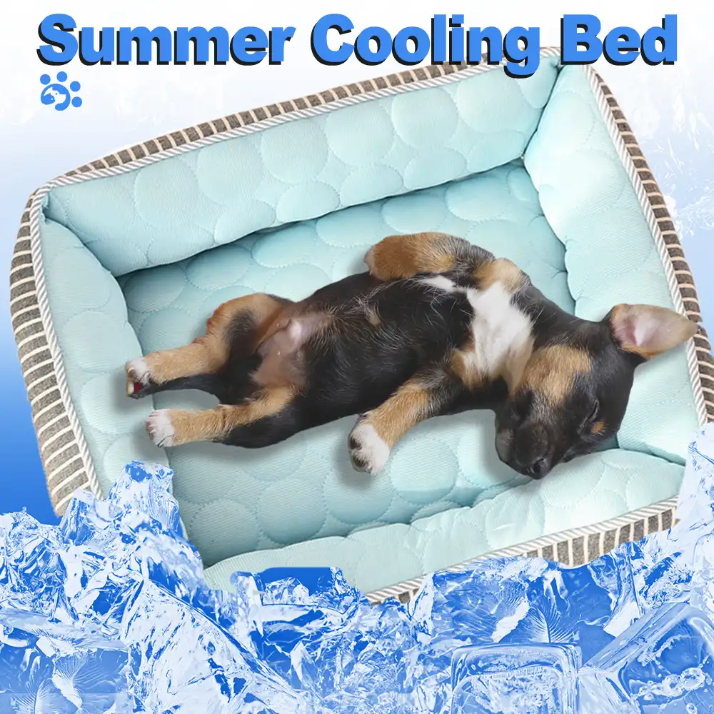 cooling pet bed for cats