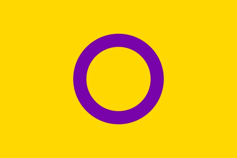 90x150 см 120x180 Флаг Intersex Pride | Дом и сад