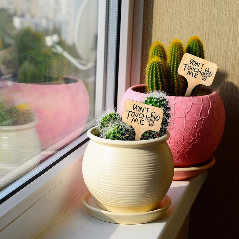 

Botique-Plant Labels for Outdoor Garden 60 Pcs 3 Shapes Rectangle Oval Heart Plant Tags Garden Markers for Vegetables, Plants an