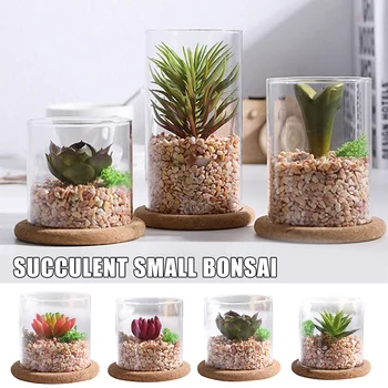 

Mini Green Artificial Succulent Plants Nordic Simulation Plant Mini Succulent Potted Decoration Glass Bottle Desktop in stock