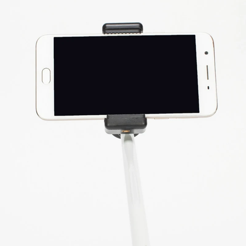 trekking pole cell phone mount