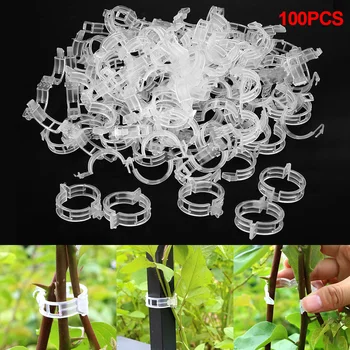 

100pcs Reusable Plastic Plant Support Clips Clamps Garden Greenhouse Vegetables Tomatoes Clips For Plants Hanging Vine