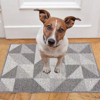 

Indoor Super Absorbs Doormat Backing Non Slip Door Mat For Front Door Inside Floor Dirt Trapper Entrance Water-absorbing Rug