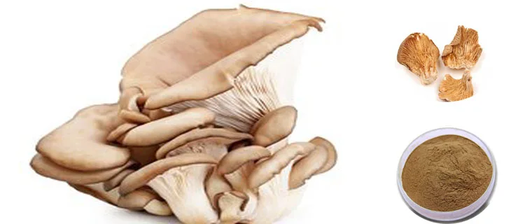 Sales! Factory Supplier Oyster Mushroom Extract Powder
