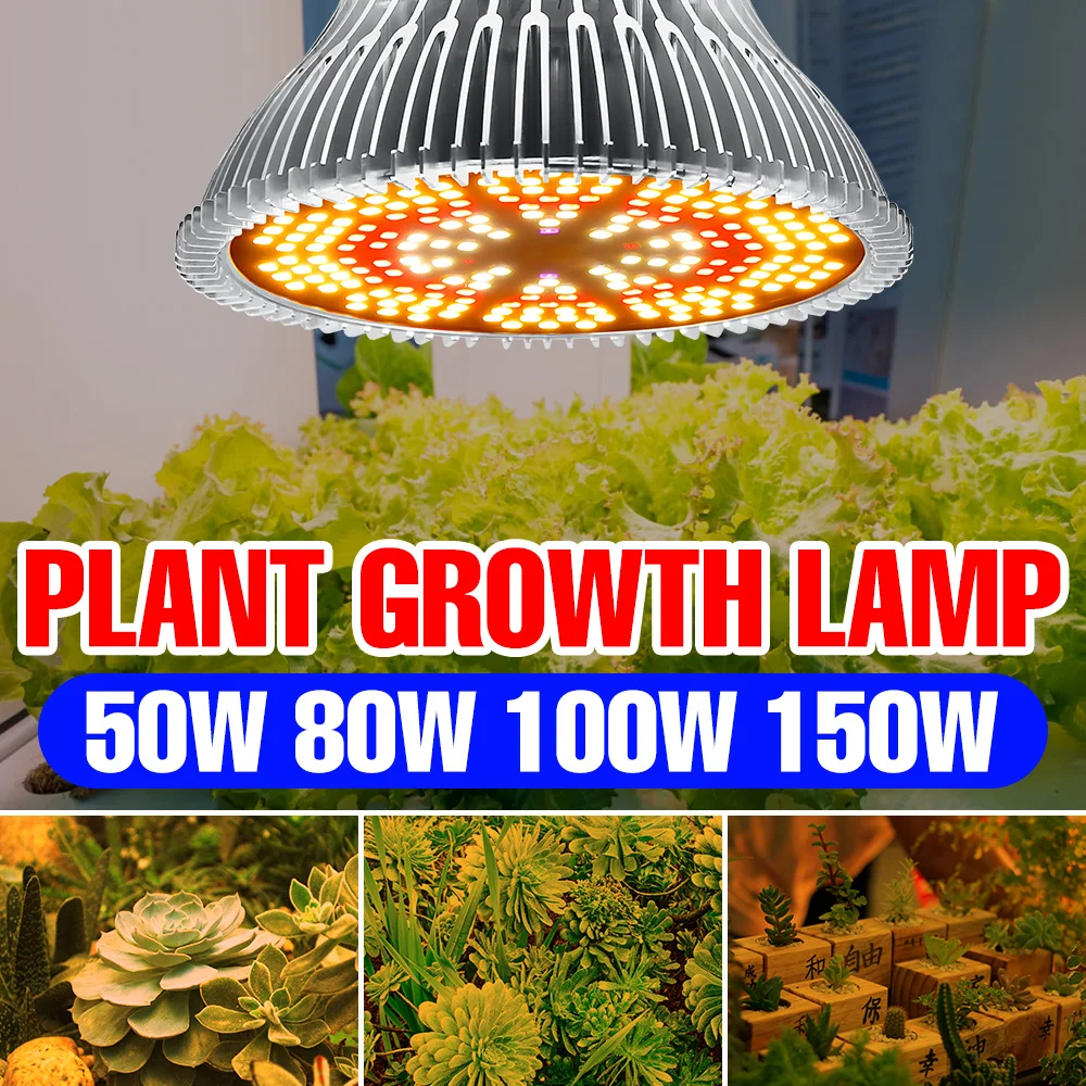 100W E27 290LED Plant Grow Light Bulb Lamp Full Spectrum Flower Seeds 
