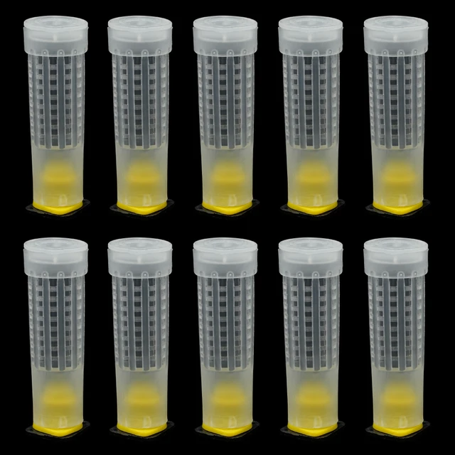 20/50 Pcs Méhész Eszközök Termékenységi Király Talapzatőr Hosszú Fall Pajzs Queen Ketrec Borítója Bejegyzett Levél Szerint - Image 2