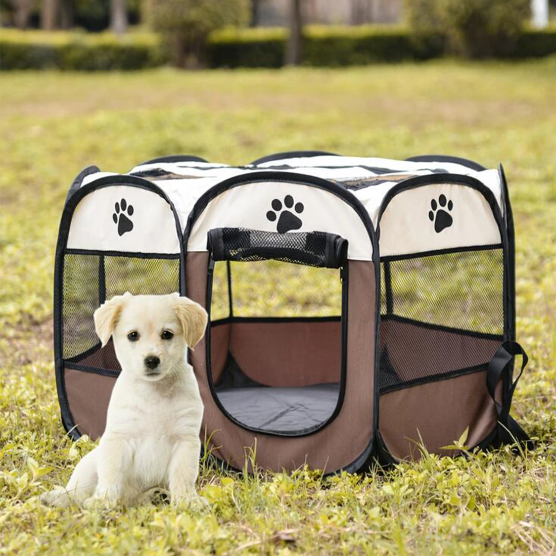 puppy crate water