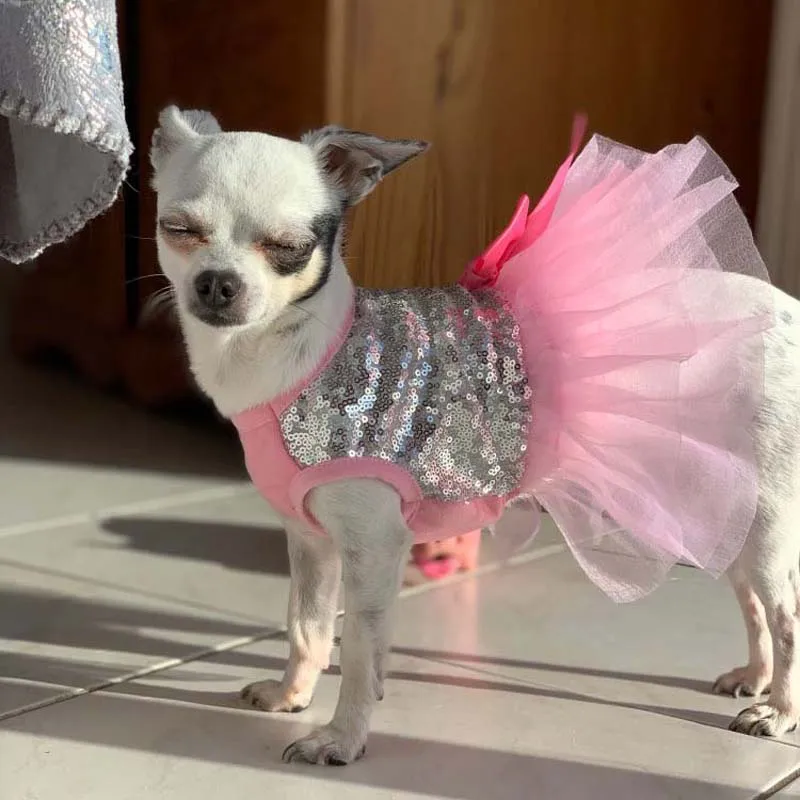 Vestito Principessa Scozzese Per Cani Piccoli - Abito Estivo Con Cuore E Ali - Foto 7