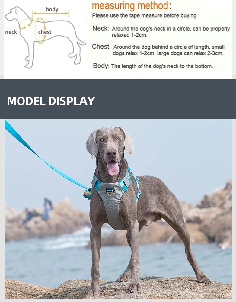 H429eb155017f49508fcec0a87c89d00dy.jpg_.webp (1)