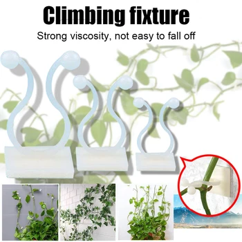 

10/20/50Pcs Invisible Wall Vines Fixture Wall Sticky Hook Vines Fixing Clip Vines Holder for Home Decoration 66CY