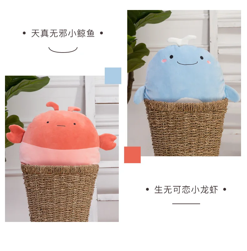 桃乐西_07.jpg