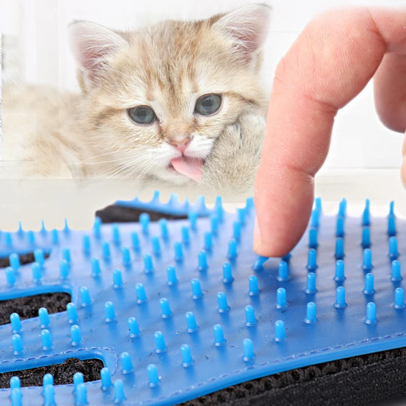 HTB1C8xoalGw3KVjSZFwq6zQ2FXag