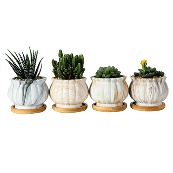 

8Pcs Pots Plant Pots Fleshy Flower Pot Ceramic Pot Ceramic Flower Pot for Decor HOme Office