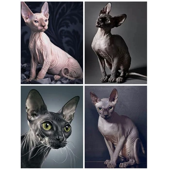 

MomoArt 5D DIY Diamond Painting Sphynx Cat Rhinestone Art Diamond Embroidery Sale Animal Full Square Mosaic Home Decoration