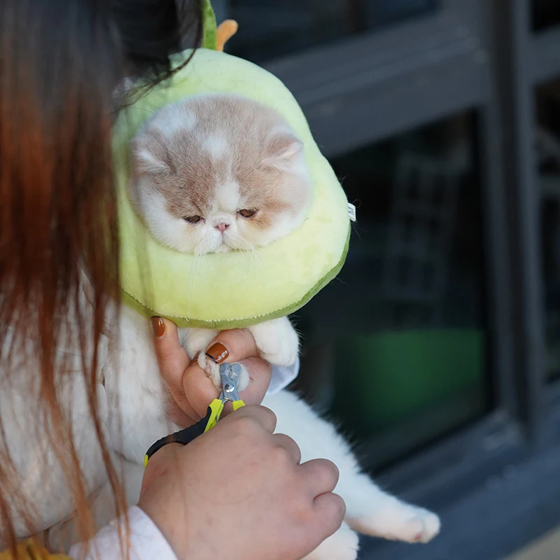 14057342820_810896504