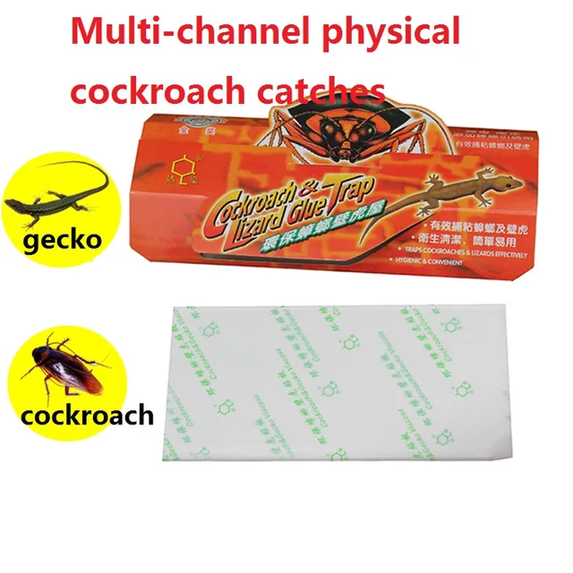 10Db Hajtogatás Cacture Cótányok Gecko House Erős Fizikai Környezetvédelem Ártalmatlan Fogási Tárgy Rovar Ragasztó Tábla - Image 4