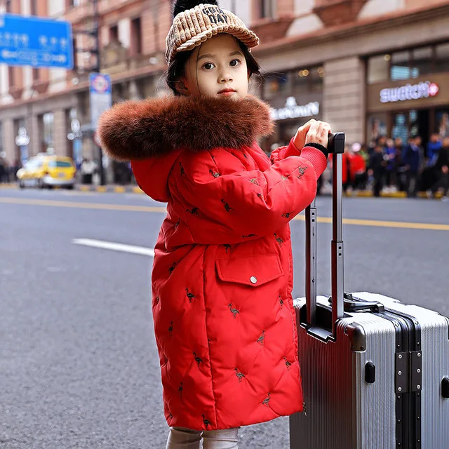 30 градусов, одежда для девочек теплый пуховик для девочки, одежда г. Зимняя утепленная парка детская верхняя одежда с меховым капюшоном, пальто От 5 до 16 лет