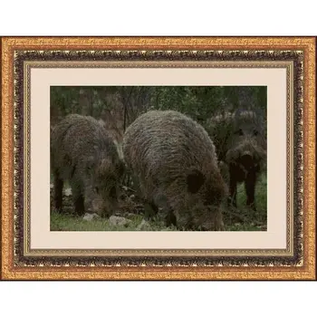 

CROSS STITCH KIT PANDATHREAD ANIMAL 30125