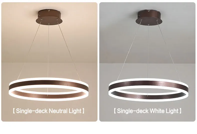 

Nordic living room LED chandelier modern simple creative personality circular dining room bedroom lamp large chandelier