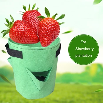 

Multi-mouth strawberry color planting bag