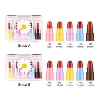 

5Pcs/set Lips Makeup Lipstick Lip Gloss Long Lasting Moisture Cosmetic Lipstick Red Lip Matte Lipstick Waterproof Makeup TXTB1