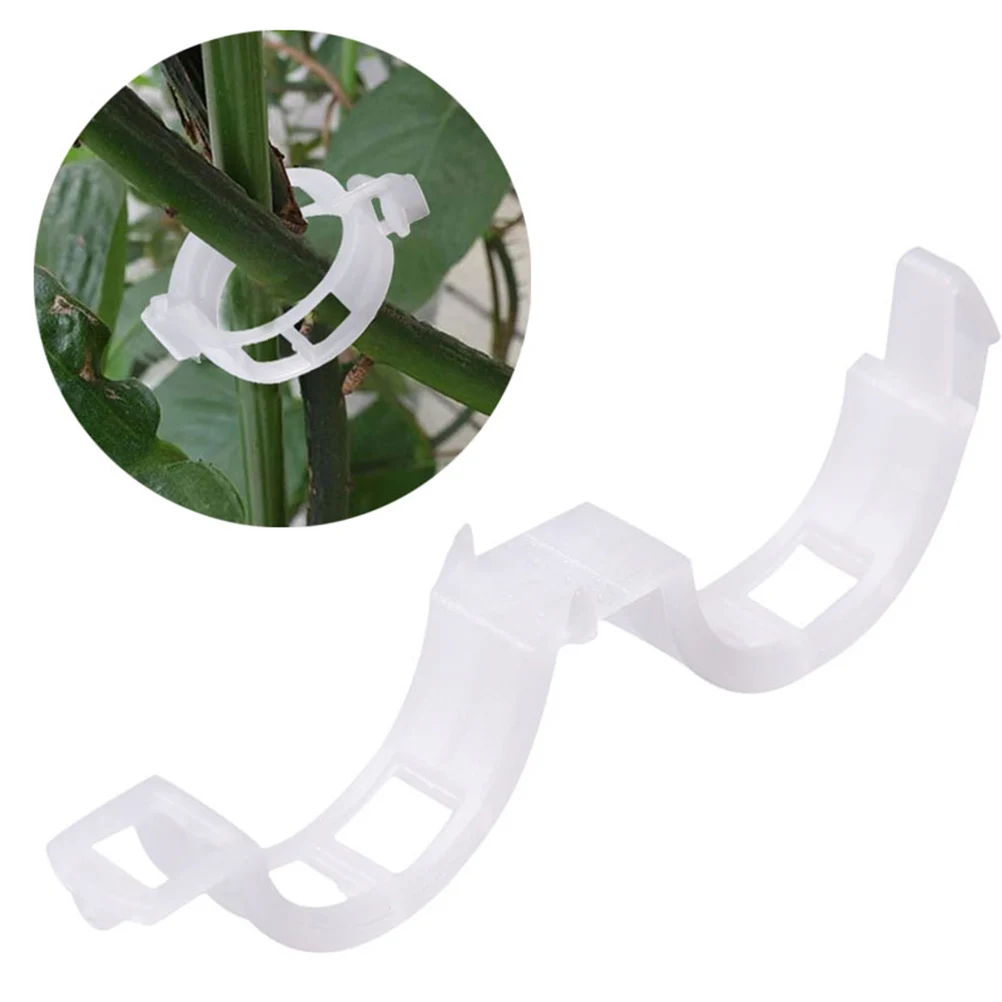 100pcs Plant Vines Fixed Clip Tied Buckle Lashing Hook Agricultural Greenhouse Vegetable Gadget Garden Plastic Fixed Buckle 100pcs Plant Vines Fixed Clip Tied Buckle Lashing Hook Agricultural Greenhouse Vegetable Gadget Garden Plastic Fixed Buckle