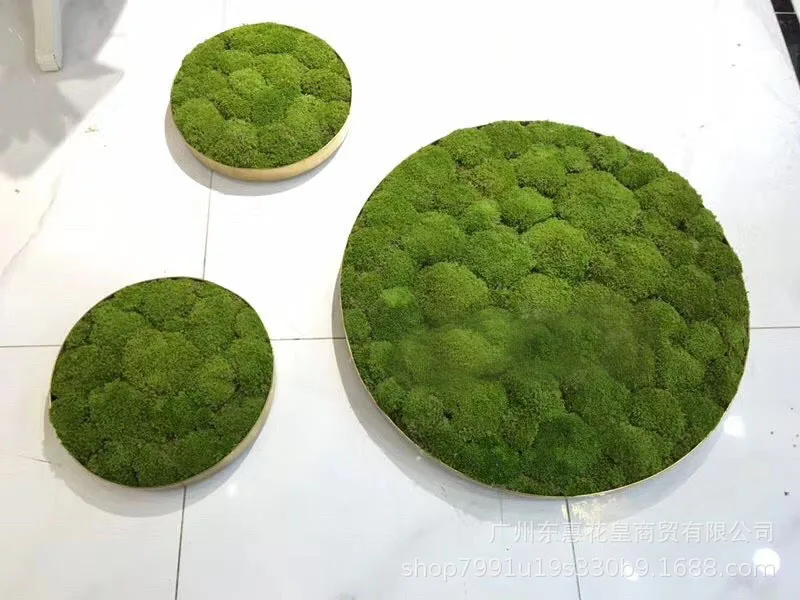 Plant carpet material Wrapped moss carpet gift diy adult handmade wedding  aisle decorations - AliExpress