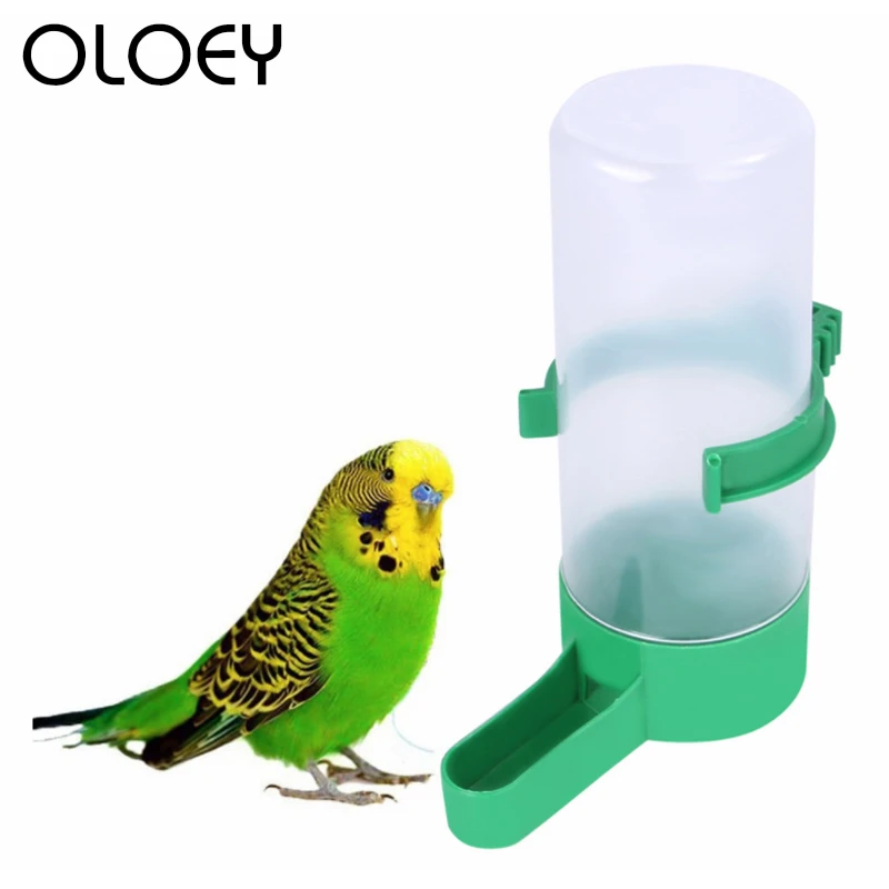 pet bird supply store