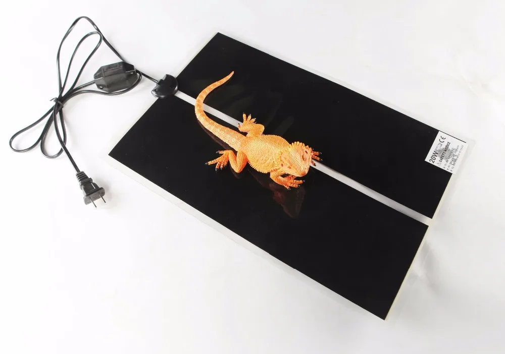 12668259300_707455382