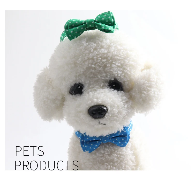 13 - 14759116587_307791824