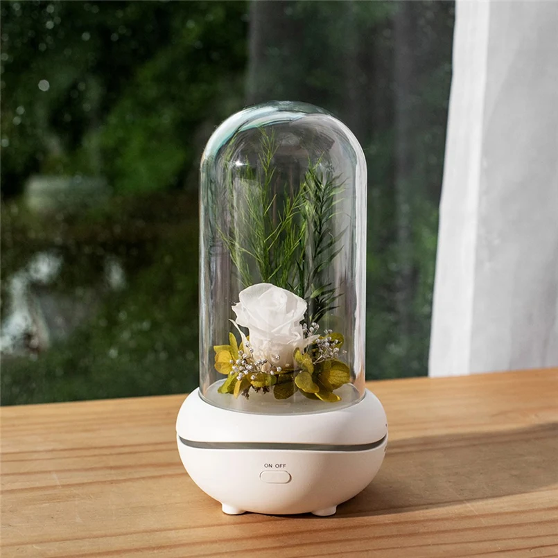 LED Night Lights USB Romantic Eternal Flower Fragrance Lights Colorful Fantasy Ambient Lights Colorful Ambient Lights Rose 30S26 (4)