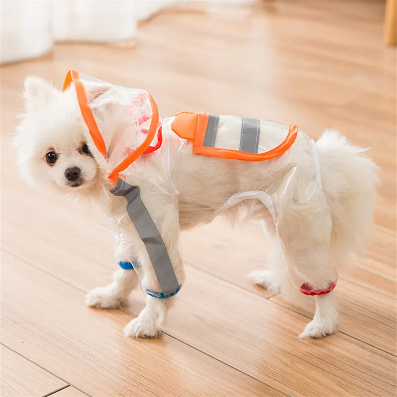 Pomeranian raincoat Clearance
