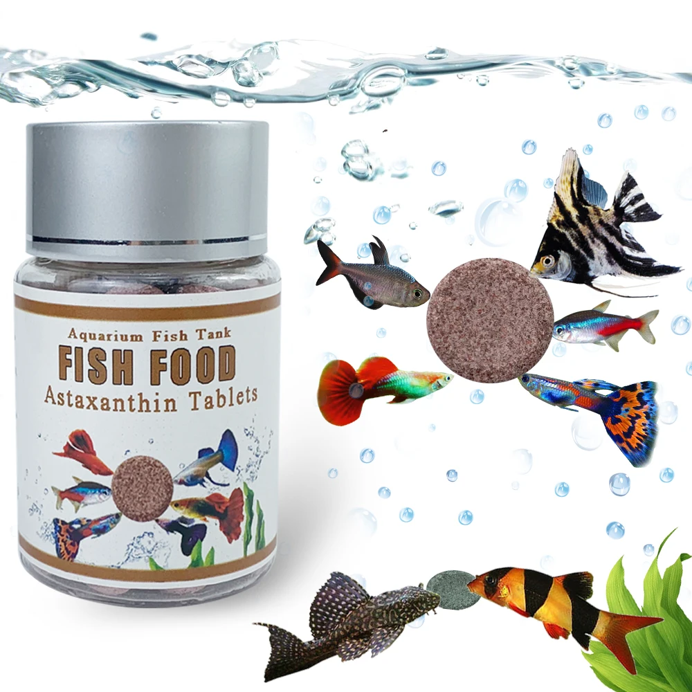 natural food for fish in aquarium