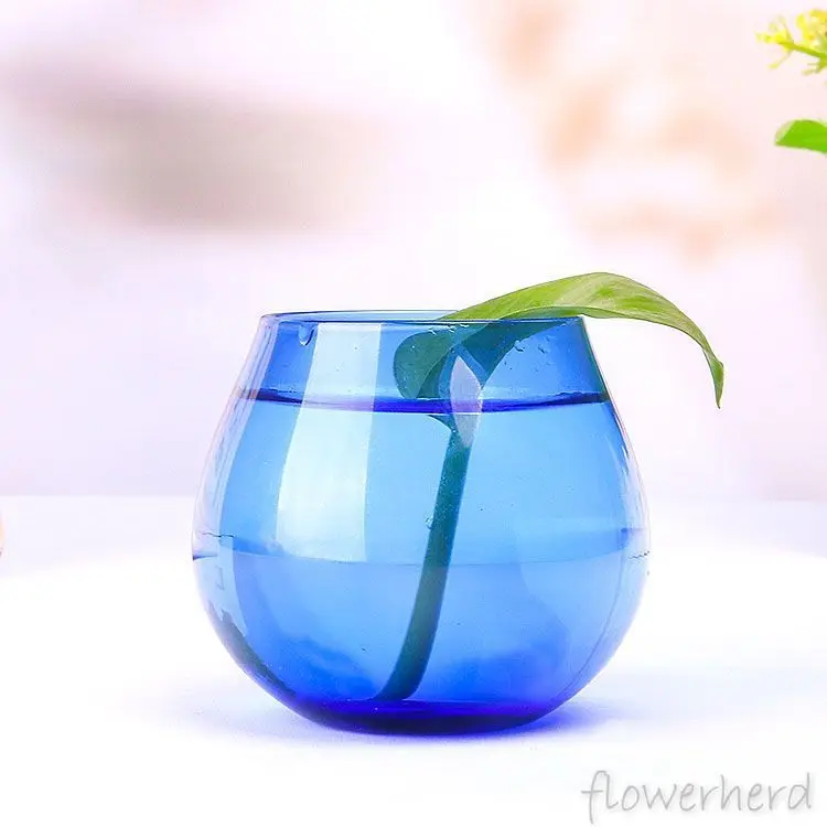 Террариум гидропоники вазы для растений в форме яйца мини ваза Culturer синий растительный стеклянный цветочный горшок настольные растения домашний декор бонсай