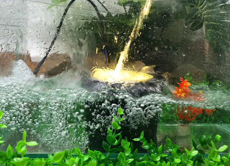 O1CN01BtBE8A2Ap0RhZzhy9_!!2453648251