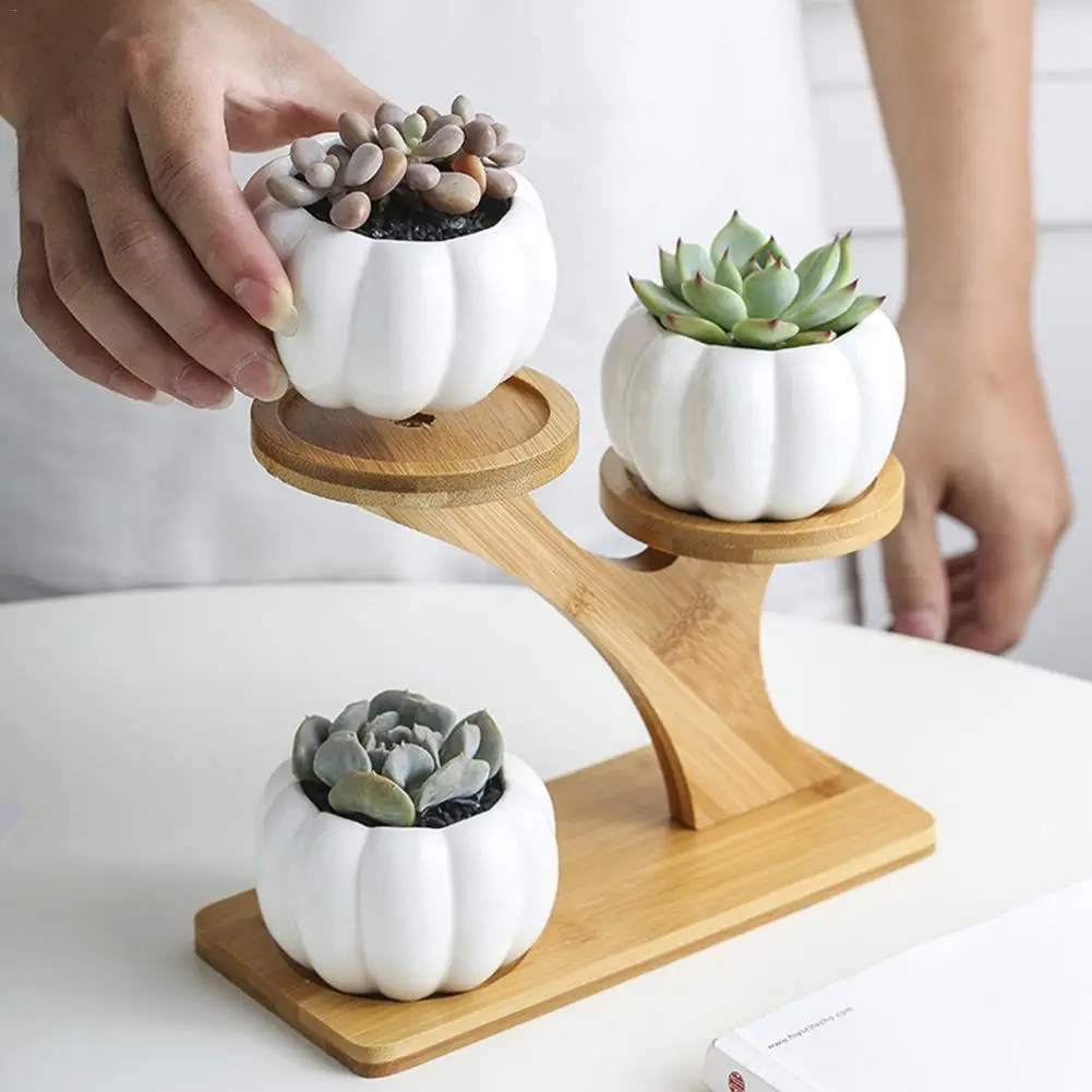 

Simple White Succulent Plant Flower Pot Bamboo Holder Ceramic Pumpkin Shaped Pot Treetop Shaped Bamboo Shelf Pot Planter Set