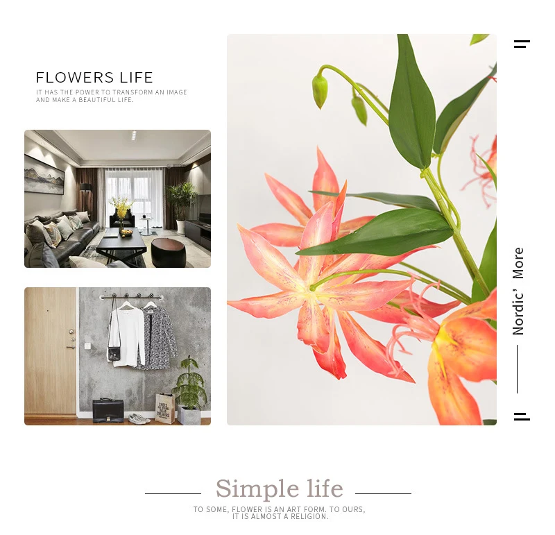 06017d45-a9a9-418e-8b90-5b3e30a2a8e0